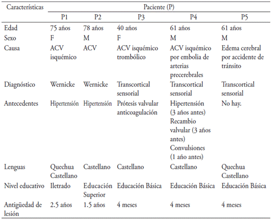 Caracter&iacute;sticas de los pacientes con afasia fluente estudiados